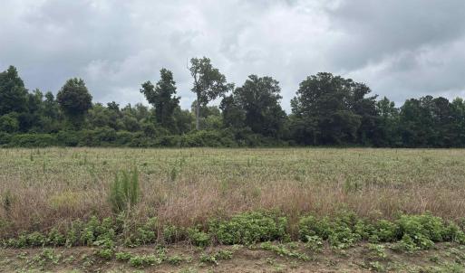 Photo #2 of TBD Coney Dr., Longs, SC 4.6 acres