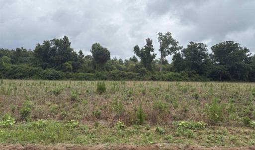 Photo #3 of TBD Coney Dr., Longs, SC 4.6 acres