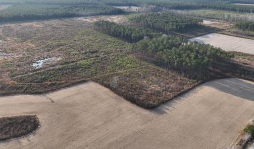 Photo #10 of TBD Hwy 9, Marion, SC 267.5 acres