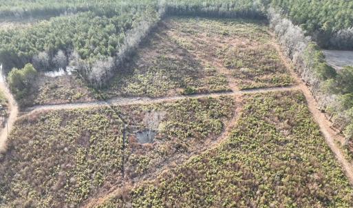 Photo #6 of TBD Hwy 9, Marion, SC 267.5 acres
