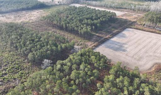 Photo #1 of TBD Hwy 9, Marion, SC 267.5 acres