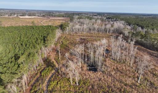 Photo #5 of TBD Hwy 9, Marion, SC 267.5 acres