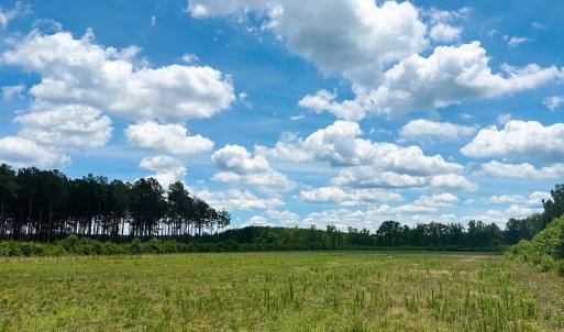 Photo #3 of TBD Hwy 9, Marion, SC 267.5 acres