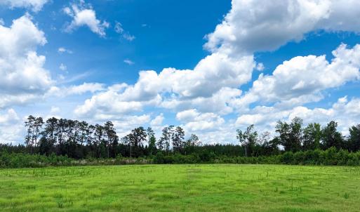 Photo #9 of TBD Hwy 9, Marion, SC 267.5 acres