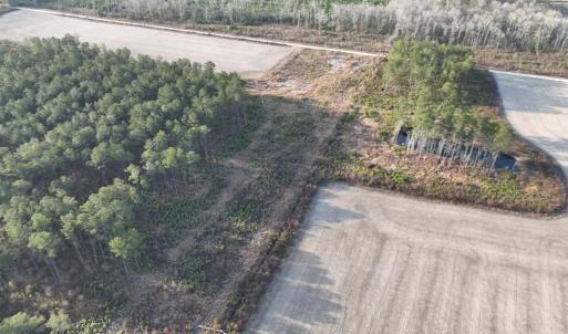 Photo #7 of TBD Hwy 9, Marion, SC 267.5 acres