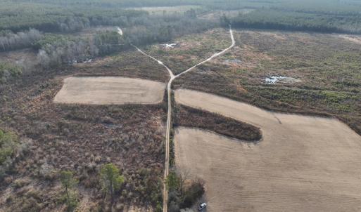 Photo #2 of TBD Hwy 9, Marion, SC 267.5 acres