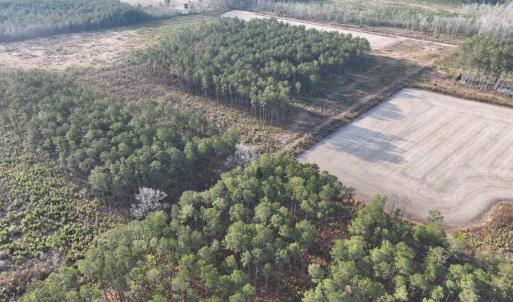 Photo #1 of TBD Hwy 9, Marion, SC 267.5 acres