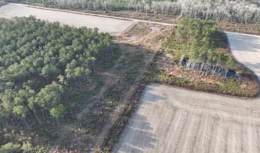 Photo #7 of TBD Hwy 9, Marion, SC 267.5 acres