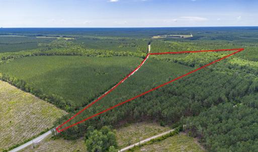 Photo #3 of TBD Ten Acre Rd., Andrews, SC 38.0 acres