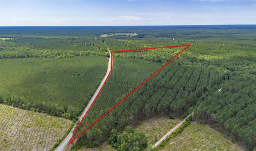 Photo #2 of TBD Ten Acre Rd., Andrews, SC 38.0 acres
