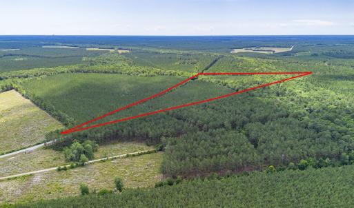 Photo #4 of TBD Ten Acre Rd., Andrews, SC 38.0 acres