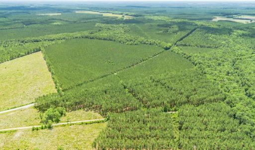 Photo #9 of TBD Ten Acre Rd., Andrews, SC 38.0 acres