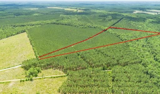 Photo #10 of TBD Ten Acre Rd., Andrews, SC 38.0 acres