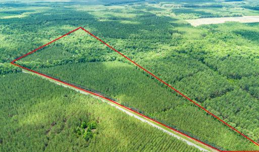 Photo #7 of TBD Ten Acre Rd., Andrews, SC 38.0 acres