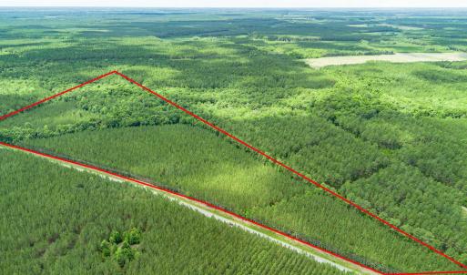 Photo #6 of TBD Ten Acre Rd., Andrews, SC 38.0 acres