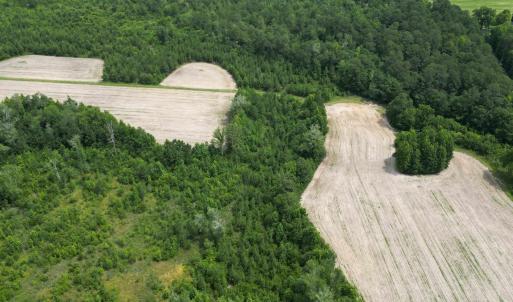 Photo #19 of TBD Church Rd., Green Sea, SC 74.0 acres
