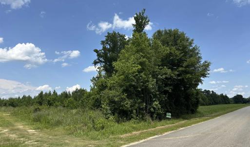 Photo #1 of TBD Church Rd., Green Sea, SC 74.0 acres