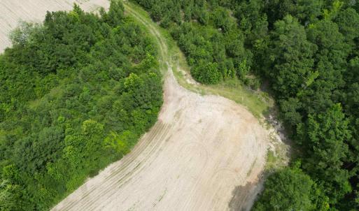 Photo #9 of TBD Church Rd., Green Sea, SC 74.0 acres