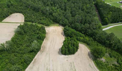 Photo #6 of TBD Church Rd., Green Sea, SC 74.0 acres