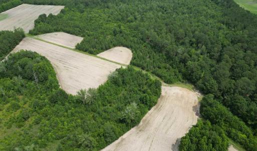 Photo #8 of TBD Church Rd., Green Sea, SC 74.0 acres