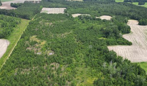 Photo #10 of TBD Church Rd., Green Sea, SC 74.0 acres