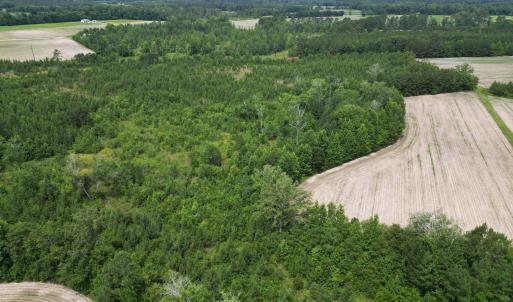 Photo #14 of TBD Church Rd., Green Sea, SC 74.0 acres