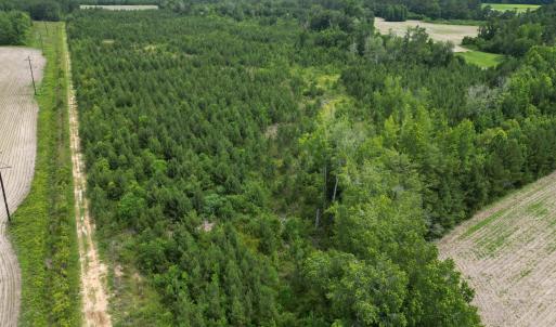 Photo #17 of TBD Church Rd., Green Sea, SC 74.0 acres