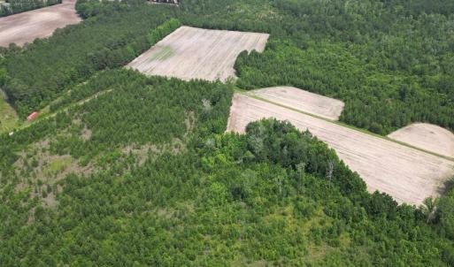 Photo #5 of TBD Church Rd., Green Sea, SC 74.0 acres