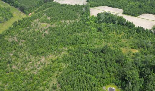 Photo #18 of TBD Church Rd., Green Sea, SC 74.0 acres