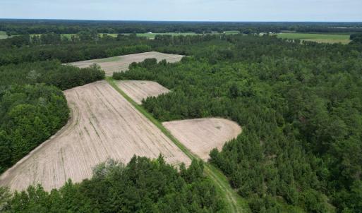 Photo #13 of TBD Church Rd., Green Sea, SC 74.0 acres