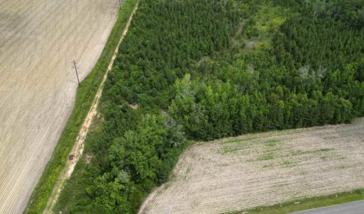 Photo #2 of TBD Church Rd., Green Sea, SC 74.0 acres