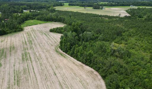 Photo #16 of TBD Church Rd., Green Sea, SC 74.0 acres