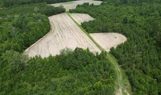 Photo #12 of TBD Church Rd., Green Sea, SC 74.0 acres