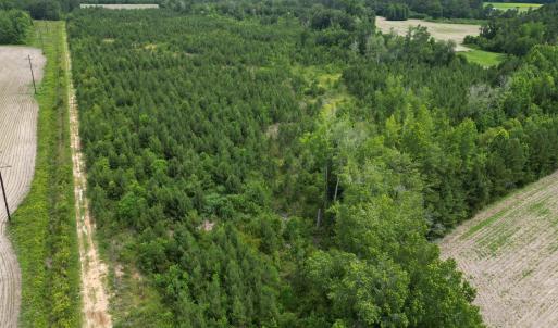 Photo #17 of TBD Church Rd., Green Sea, SC 74.0 acres