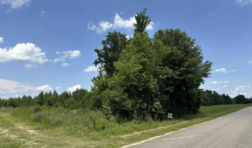 Photo #1 of TBD Church Rd., Green Sea, SC 74.0 acres