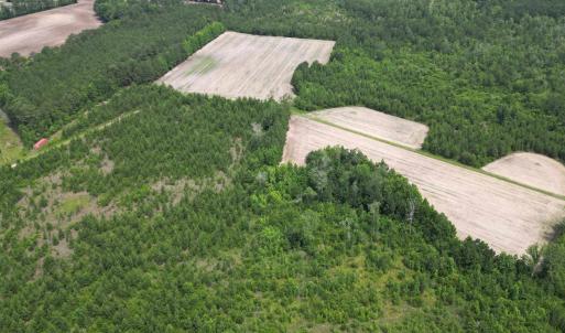 Photo #5 of TBD Church Rd., Green Sea, SC 74.0 acres