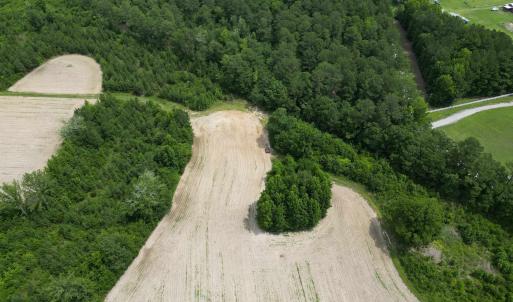 Photo #6 of TBD Church Rd., Green Sea, SC 74.0 acres