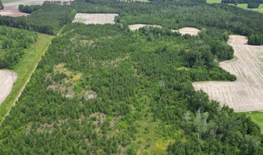 Photo #10 of TBD Church Rd., Green Sea, SC 74.0 acres