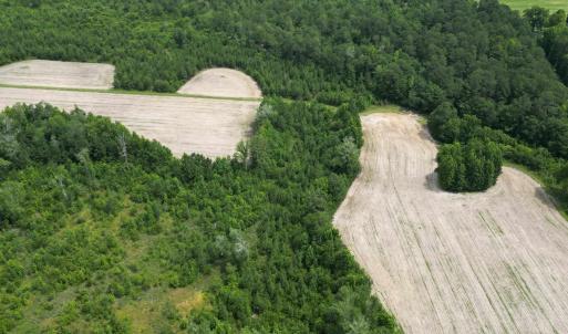 Photo #19 of TBD Church Rd., Green Sea, SC 74.0 acres
