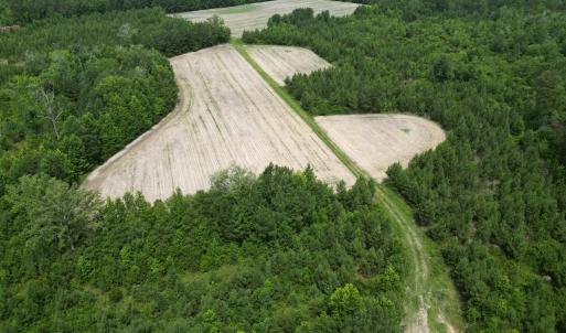 Photo #12 of TBD Church Rd., Green Sea, SC 74.0 acres