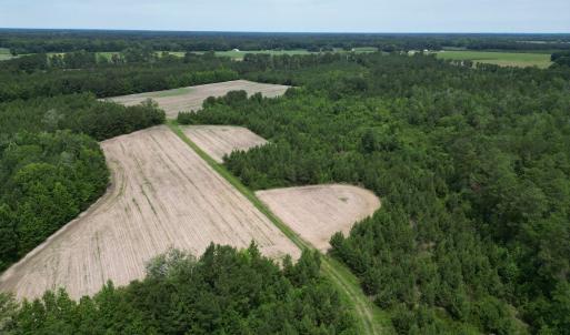 Photo #13 of TBD Church Rd., Green Sea, SC 74.0 acres