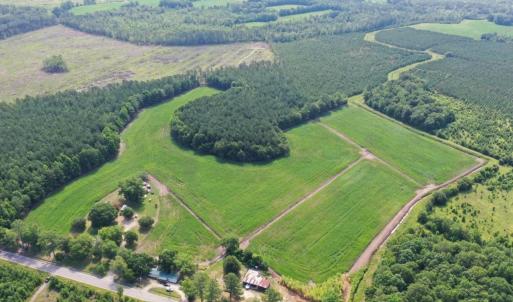 Photo #2 of 1002 Sam Lee Rd., Scranton, SC 76.2 acres
