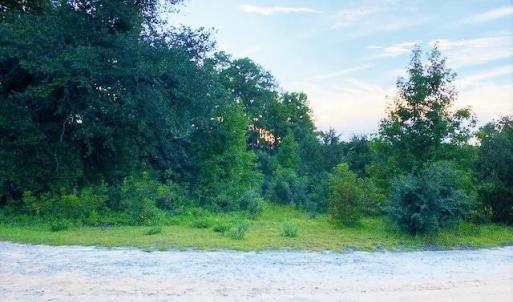 Photo #5 of Lot 1 Ivanhoe Pl., Dillon, SC 0.6 acres
