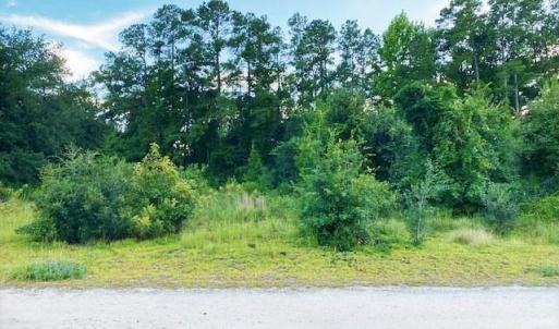 Photo #1 of Lot 1 Ivanhoe Pl., Dillon, SC 0.6 acres