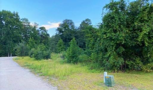 Photo #3 of Lot 1 Ivanhoe Pl., Dillon, SC 0.6 acres