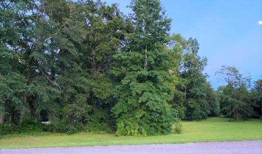 Photo #4 of Lot 1 Ivanhoe Pl., Dillon, SC 0.6 acres