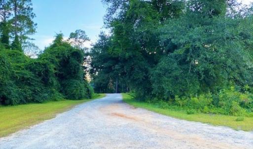 Photo #2 of Lot 1 Ivanhoe Pl., Dillon, SC 0.6 acres