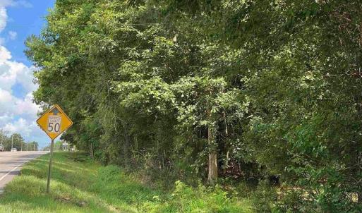 Photo #5 of TBD Highway 378, Conway, SC 27.3 acres