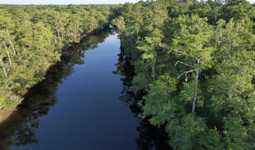Photo #5 of 0.80 Acres-TBD Cantley Landing Rd., Andrews, SC 0.8 acres