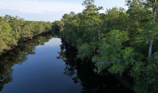 Photo #6 of 0.80 Acres-TBD Cantley Landing Rd., Andrews, SC 0.8 acres